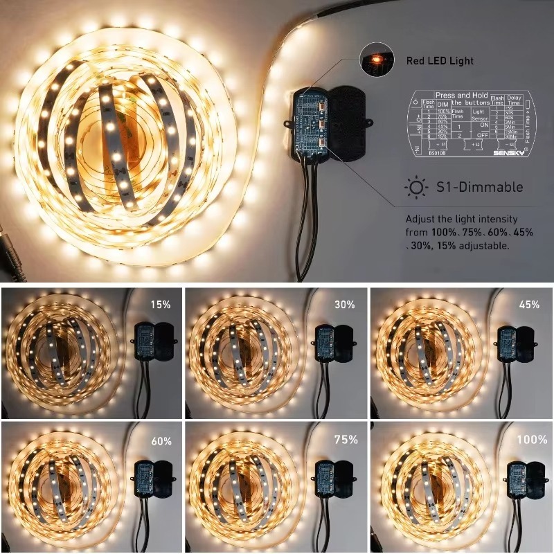 Interruptor Temporizador con S - Pir Motion Sensor reseña y precio